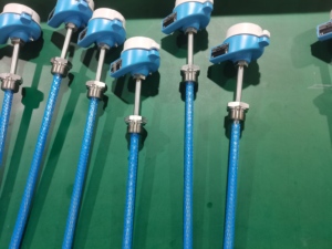 Termómetro Original Endress Hauser TM131, Termómetro Modular de Temperatura E+H TM131, Sensor de Temperatura Seguro - Product Image 1