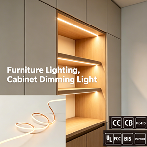 Éclairage de placard IP65 TUYA/avec capteur intelligent, éclairage de meuble à intensité variable DC24V UL/CE/CB, lumière néon ultra-mince 2700K-6500K - Product Image 1