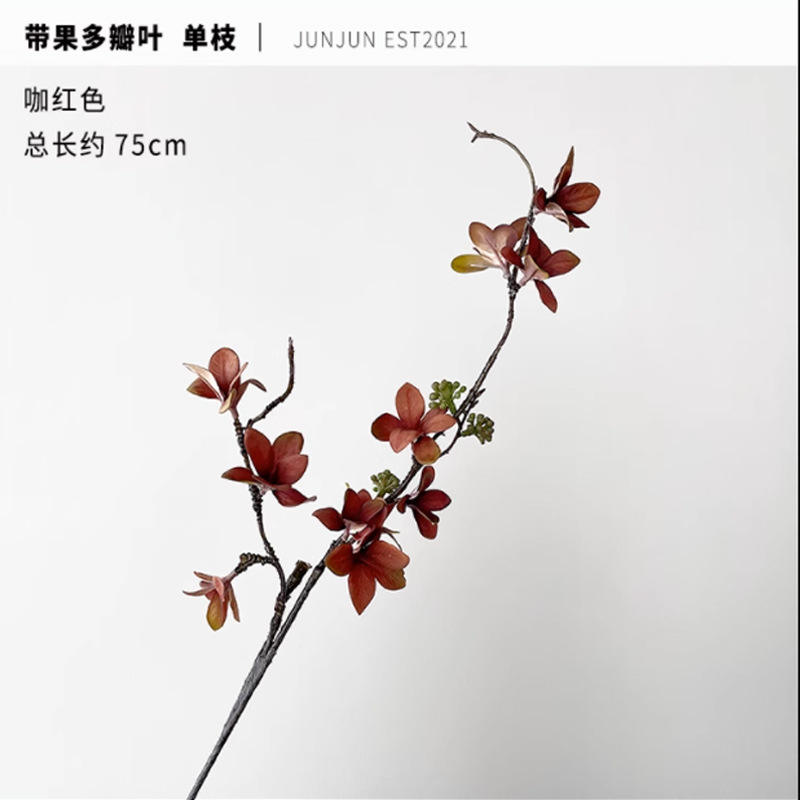 สีสันใบไม้ร่วงหลากสี