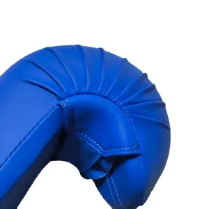 Échantillon livraison gratuite Woosung gants de gymnastique professionnels karaté fabricants équipement d'entraînement wkf gants de karaté bleus approuvés