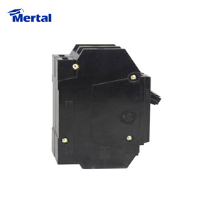 Main電源240vプラグ2極サーキットブレーカサプライヤー - Product Image 2