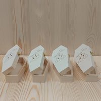 Cercueil carré en bois massif de couleur bois naturel, style gothique, biodégradable et écologique, pour Halloween, thème horreur et farce, boîte de rangement pour animaux de compagnie