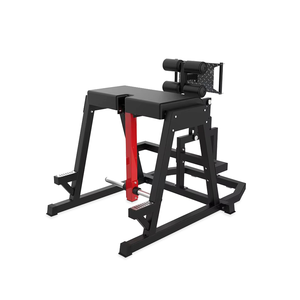 <span class=keywords><strong>Gimnasio</strong></span> comercial portátil acero Glute Reverse Hyper Extension Machine usado Reverse Hyper para la <span class=keywords><strong>venta</strong></span> - Product Image 1