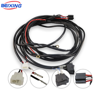 Harnais de câblage automobile sur mesure BeiXing E00242 avec âme en cuivre et isolation en PVC/caoutchouc - Fabricant