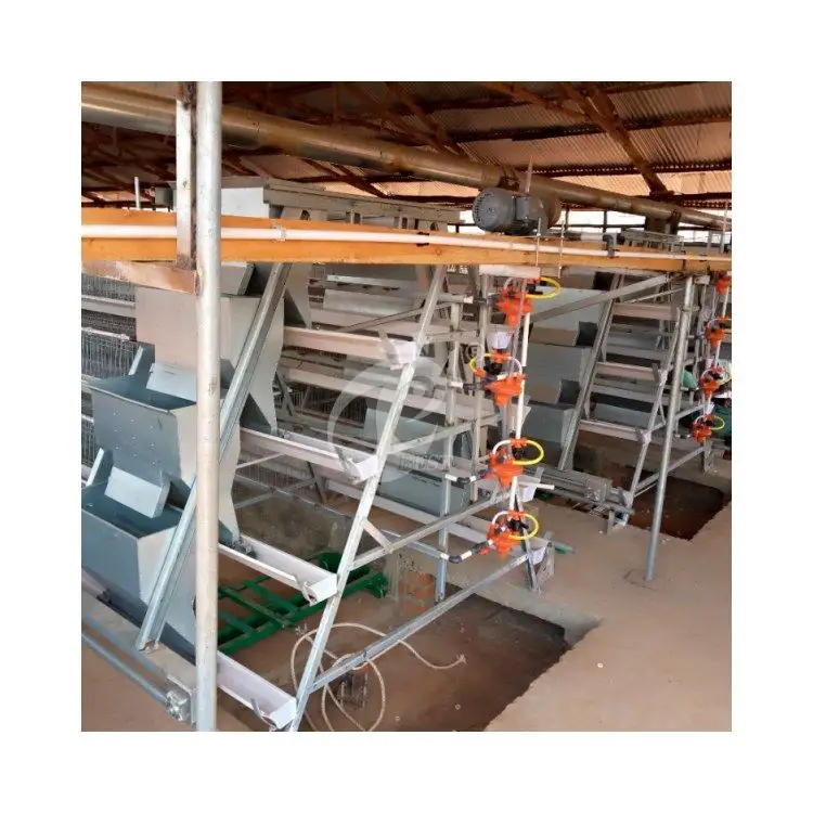 Batterie Cage Chicken Prix Battery Cage Water Tank Poultry Battery Cages In Philippines