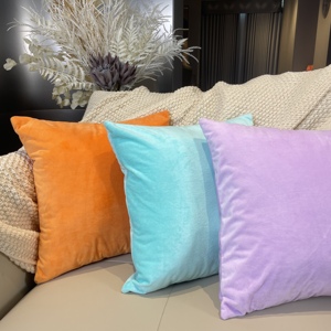 Venta al por mayor fundas de almohada decorativas para el hogar fundas de cojín de sofá de terciopelo de lujo - Product Image 5