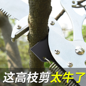 Sécateur télescopique Baolian 20-30 mm en acier inoxydable, cisailles papillon pour la taille des arbres fruitiers - Product Image 2