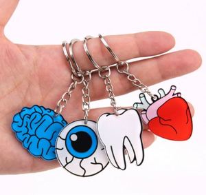 New Design Organ Heart Brain Eyes Tooth <b>Custom</b> Acrylic Keychain Double Side Acrylic <b>Key</b> <b>Ring</b> - Product Image 4