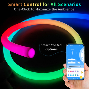 ไฟนีออน LED แบบเส้นโค้งงอได้ คุณภาพสูง 360 องศา RGB สีดำ ซิลิโคน  ความยาว 5 ม. 10 ม. กันน้ำ IP67 - Product Image 1