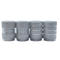 En gros Nouveau Logo Personnalisé Argent Aluminium Automobile Bouchon De Pneu Chambre À Air Valve Bouchon Couvercle Joint Anti-Poussière Écrou Valve Tiges Bouchons