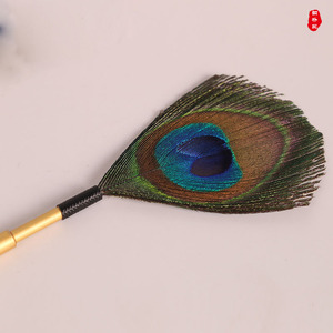 Set de Regalo de Incienso Personalizado para Principiantes: Set de Incienso de Varias Piezas, Set de Sellos de Incienso, Escoba de Incienso con Plumas de Pavo Real, Incienso - Product Image 3