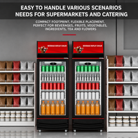Réfrigérateur professionnel à porte unique pour boissons, avec refroidissement par air, pour vitrine commerciale de boissons, refroidisseur vertical à LED