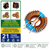 Induktor Choke Mode Umum Toroidal Inti Ferit, Filter EMI, Koil untuk PCB Catu Daya, Produsen OEM Kustom