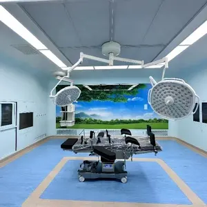 Hospital Surgical Room New Design Fast Assembly Operating Room Wall Panels Hospital operating room engineering