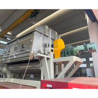 Séchoir à tambour double industriel automatique électrique à grattoir avec moteur et moteur électrique haute performance pour la transformation alimentaire