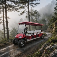 Voiturette de golf électrique 8 places (6+2 passagers) pour parcours et complexe hôtelier, véhicule de patrouille et de tourisme avec moteur AC 60V, batterie au plomb personnalisable