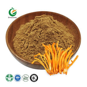Fruiterco <span class=keywords><strong>Cordyceps</strong></span> Militaris Paddenstoelenextract Poeder <span class=keywords><strong>Cordyceps</strong></span> Militaris Extract - Product Image 1
