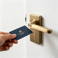 Tarjeta Inteligente NFC Mini Tag 1K M1 Personalizada, 13.56MHz, Chips 213/215/216, PVC RFID Impermeable, para Negocios/Pago/Hotel/Control de Acceso