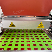 Machine à bonbons gélifiés à 10 buses, écran tactile, pour les petites entreprises, mini machine à bonbons au chocolat, déposeur de bonbons gélifiés, prix