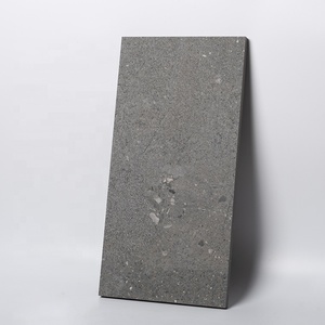 Dalles <span class=keywords><strong>de</strong></span> pavage en porcelaine et béton modernes <span class=keywords><strong>pour</strong></span> terrasse <span class=keywords><strong>de</strong></span> <span class=keywords><strong>piscine</strong></span> extérieure 600x1200x20mm - Product Image 4