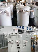 Transformateur de distribution monophasé monté sur poteau 15 kVA 13,2 kV/230 V 60 Hz IEC 60076 OEM ODM pour le réseau électrique des Philippines
