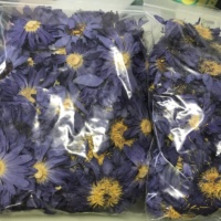 How4009 Lan lian hua fleur de Lotus bleu naturel thé lotus bleu en vrac