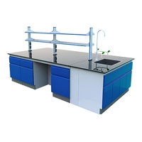 Meubles de laboratoire sur mesure de conception traditionnelle pour les écoles, les hôpitaux, les instituts de recherche, bancs de laboratoire en acier inoxydable