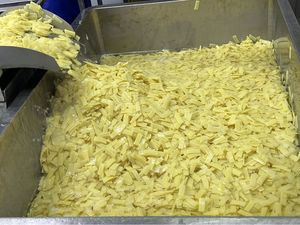 <span class=keywords><strong>หน่อไม้</strong></span>ดองแบบ<span class=keywords><strong>ฝอย</strong></span>บรรจุกระป๋องในน้ำ ขนาด 18 ลิตร - Product Image 2