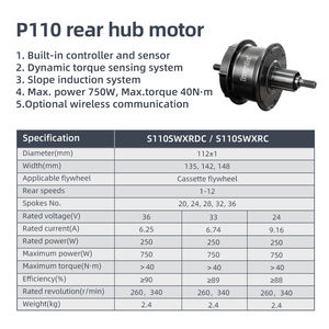 2024 le kit de conversion le plus chaud en Europe Mini <span class=keywords><strong>taille</strong></span> haute puissance Ebike frein à disque moteur de couple moteur de moyeu de roue arrière - Product Image 6