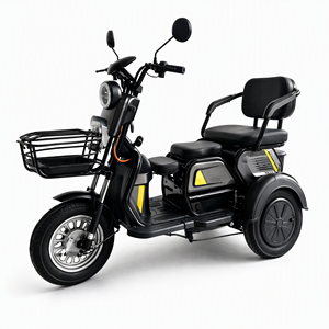 Tricycle Électrique <span class=keywords><strong>Gepard</strong></span> XUANKU Nouveau 600W 48V 21AH Scooter à Trois Roues Charge Utile 100kg Vente en Gros Export Trike Motorisé pour Adultes - Product Image 6