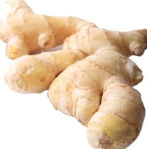 De la Chine Nouvelle Culture Aliments sains et verts Bon Prix Légumes IQF rentables de haute qualité <span class=keywords><strong>Gingembre</strong></span> frais congelé - Product Image 1