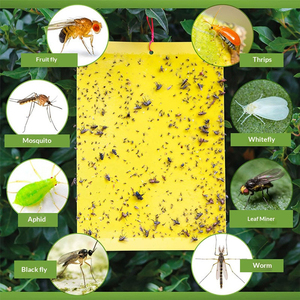 Trampa Adhesiva para Garrapatas Sólida de Alta Venta con Superpegamento 20*25 cm para Invernaderos y Huertos - Product Image 6