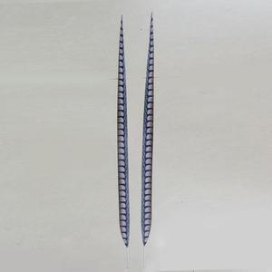 <strong>White</strong> Plumas Long Tail Artificial <strong>Pheasant</strong> Feather for Party Carnival Home Wedding Vase Holiday Decor DIY Craft Costume - Product Image 5