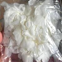 1kg putih kualitas terbaik dipilih tangan alami bunga kering yang diawetkan daun besar putih kelopak hidrangea untuk konfeti pernikahan