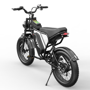 Custom EBike Fast 20 Inch 48V Disc Fat Tire Mtb E Dirt Bike Hybrid Mountain for Adults Q20 US EU Warehouse in Stock Elektr - Product Image 1
