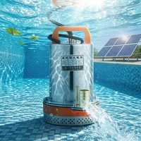 Pompe à Eau Solaire Électrique DC 12V 24V à Basse Pression Submersible pour Engrenage d'Irrigation Agricole et de Jardin OEM