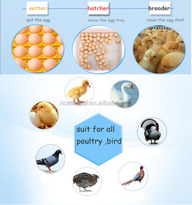 HHD H-120 <span class=keywords><strong>Machine</strong></span> à labourer Tracteur marcheur Accessoires de grande ferme pour incubateur de poulet - Product Image 6