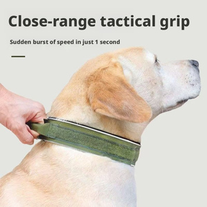 Collar de Perro con Cuerda de Agarre Manual, Collar Grande Antiexplosión para Dobermanns, Malinois y Pastores Alemanes; Collar Resistente Que - Product Image 2