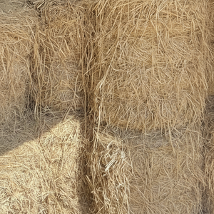 Quick Wood-Fired Solution for Campers and Adventurers Bamboo Charcoal BBQ Fire-Starting - Product Image 1