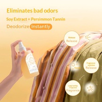 Spray corporel personnalisé à la vente chaude, parfum pour vêtements, sauf odeur fraîche durable, vente en gros, spray corporel écologique