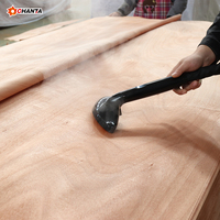Placage de bois naturel Okoume Okouma multi-spécifications, produit au Gabon, pour la décoration de meubles