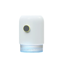 Mini déshumidificateur électrique d'intérieur, poignée de placard de maison 9v 600ML, ODM OEM Peltier