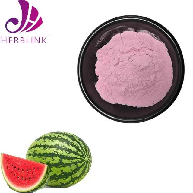 High Quality Watermelon Fruit Juice Powder Watermelon Extract Powder