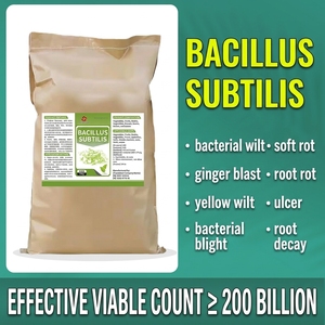 Engrais Microbien à Base de Bacillus Subtilis≥200B UFC/g, Probiotiques Anti-Parasites du Sol pour la Culture de Légumes et de Fruits - Product Image 3