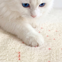 Litière pour chat biodégradable à base de plantes naturelles de manioc, cadeau de Noël, agglomération rapide, faible poussière, contrôle des odeurs
