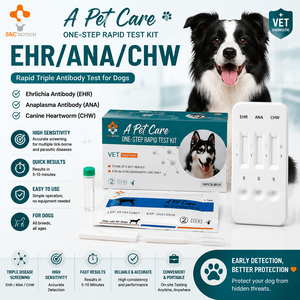 Promozione Settembre per la Cura degli Animali: Test Rapido CDV/CIV/CAV per Malattie da Cane (Distemper, <span class=keywords><strong>Influenza</strong></span> e Adenovirus) - Product Image 5