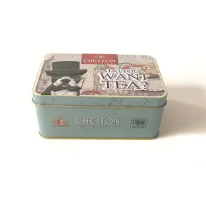 Wholesale Factory Customized Embossed Hinged Rectangular Herb Seeds Packaging Metal Tea Tins