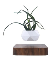Maceta de aire de levitación geométrica blanca moderna con maceta flotante magnética Base de madera oscura hecha de plástico