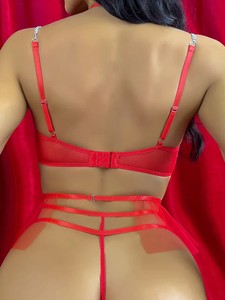 Của Phụ nữ sexy đồ lót lãng mạn thiết kế dây đeo kim loại lưới thêu màu hồng đồ lót của phụ nữ sexy chặt chẽ Corset - Product Image 3