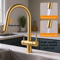 Robinet de cuisine extractible en laiton, mitigeur eau chaude et froide pour évier de légumes, rotation à 360°, purificateur 3-en-1, monotrou
